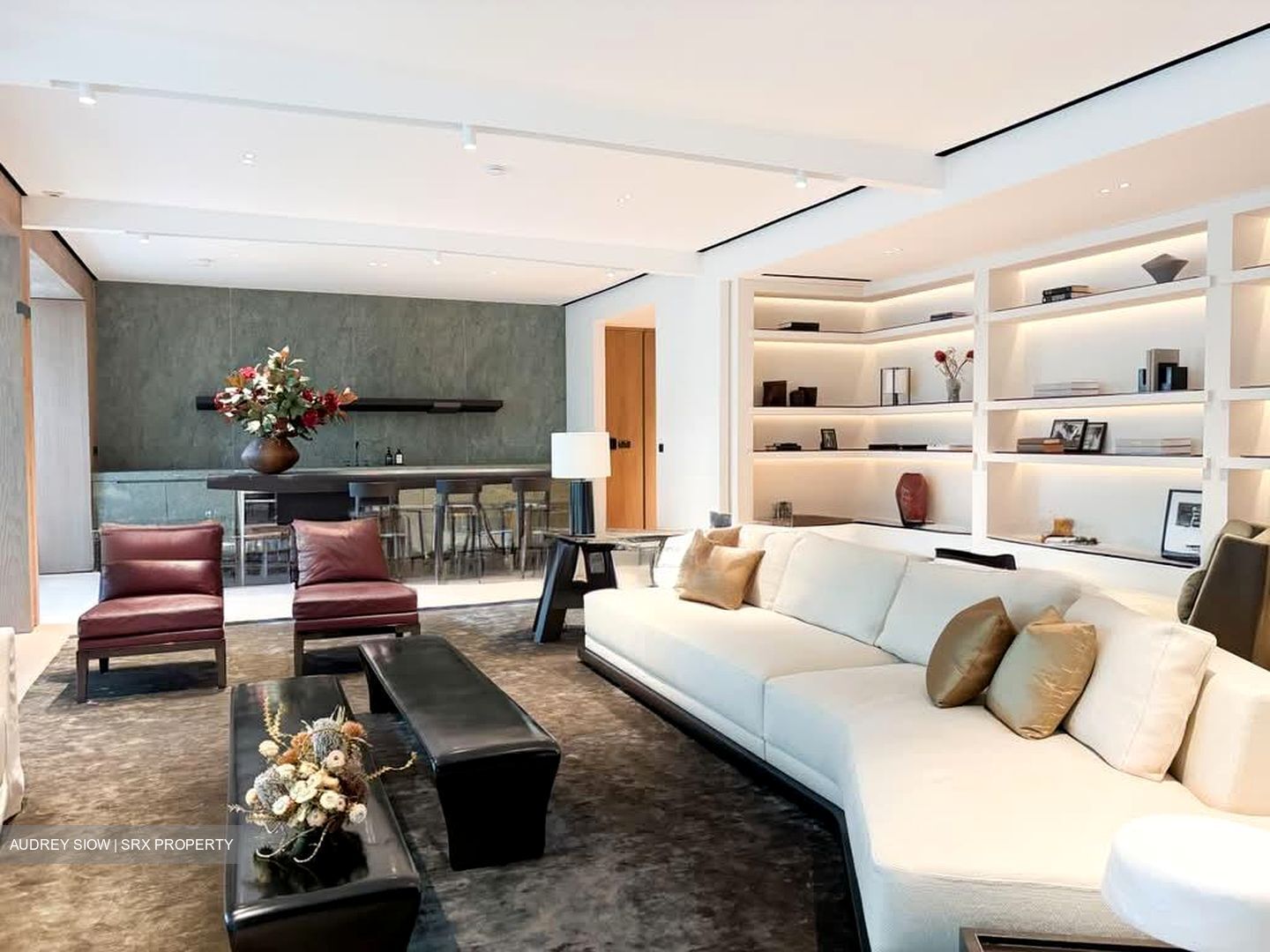 21 Anderson (D10), Condominium #592513531